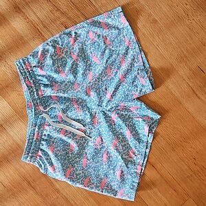 Chubbies Blue Spot with Flamingos